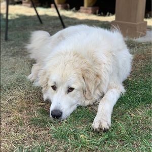 Meet your Posher, Linda